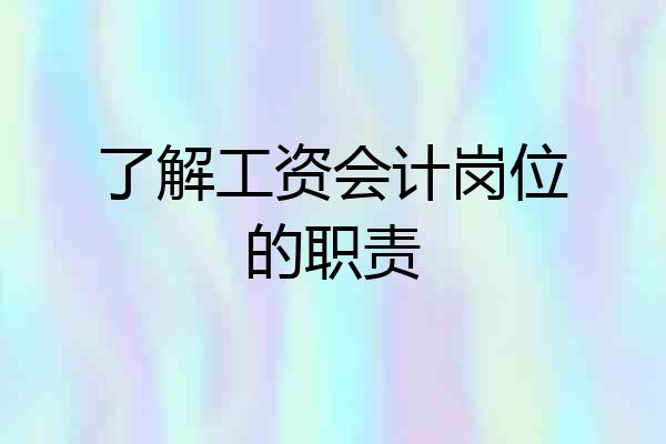了解工资会计岗位的职责