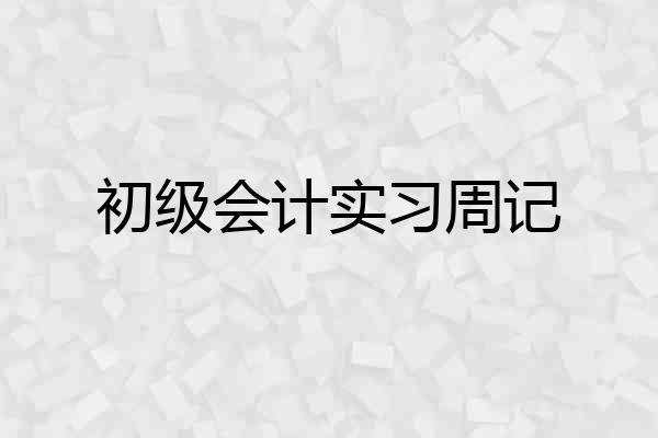 初级会计实习周记