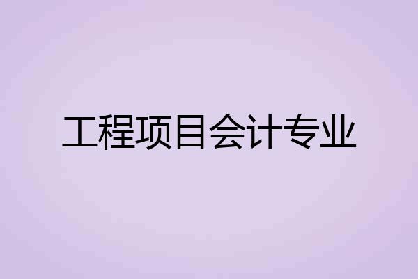 工程项目会计专业