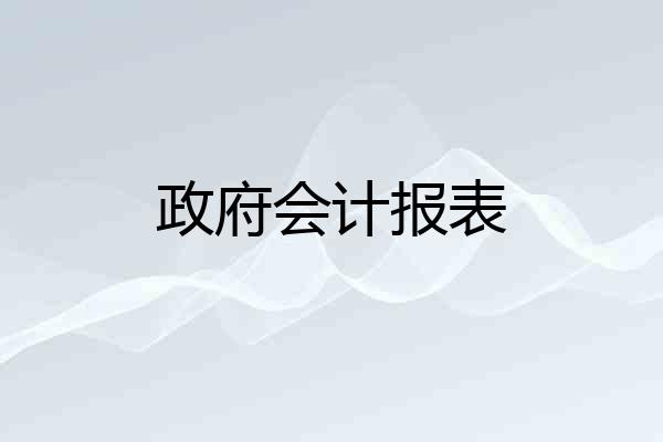 政府会计报表