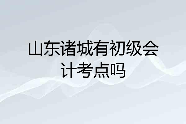 山东诸城有初级会计考点吗