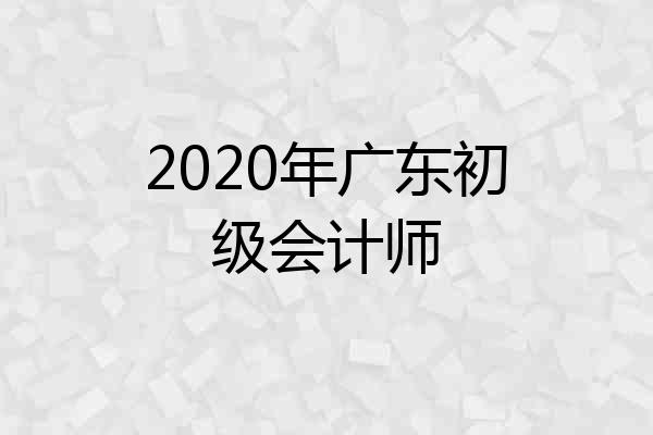 2020年广东初级会计师