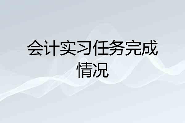 会计实习任务完成情况