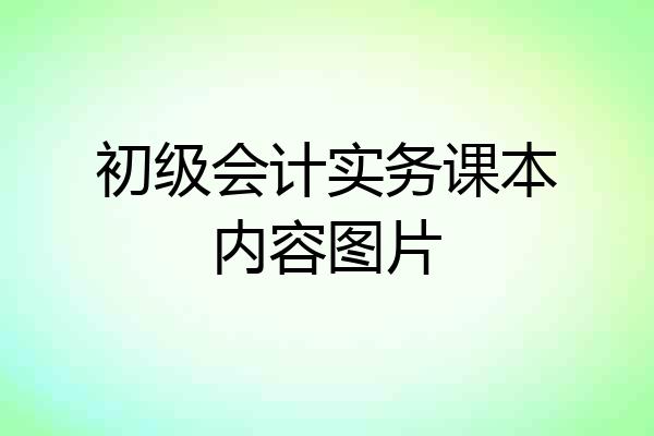 初级会计实务课本内容图片