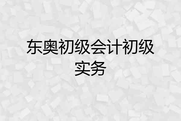 东奥初级会计初级实务