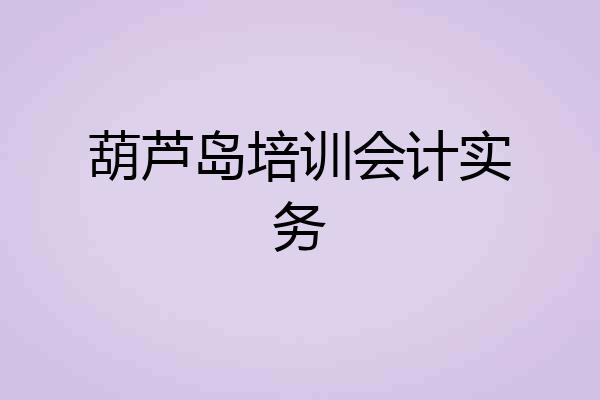 葫芦岛培训会计实务