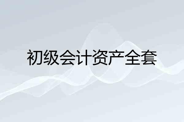 初级会计资产全套