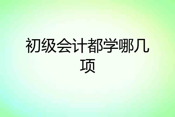 初级会计都学哪几项