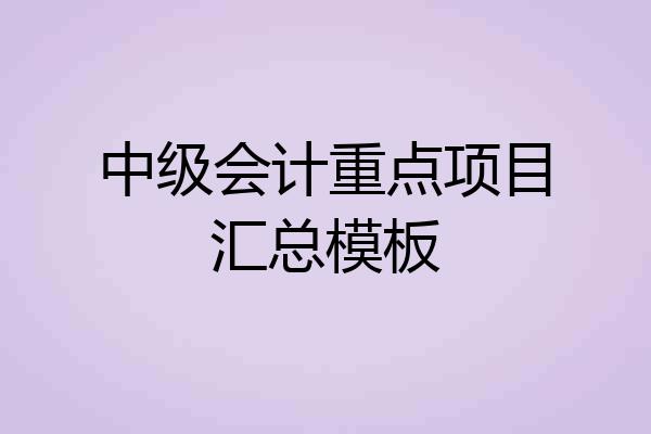 中级会计重点项目汇总模板
