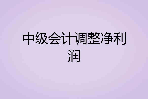 中级会计调整净利润