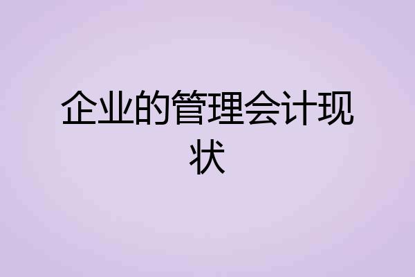 企业的管理会计现状