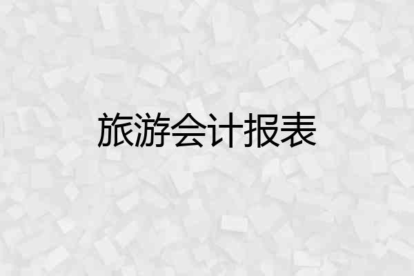 旅游会计报表