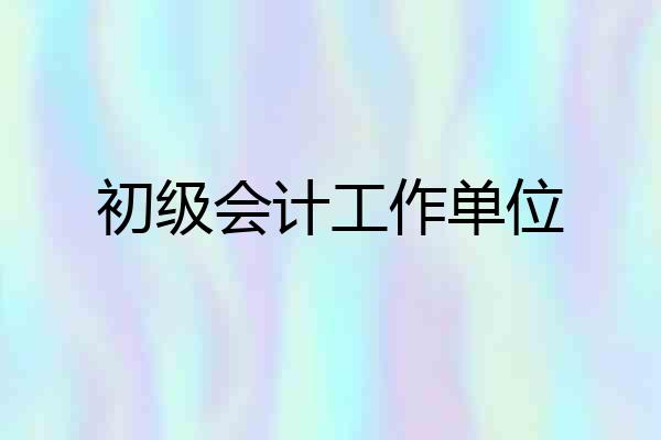 初级会计工作单位