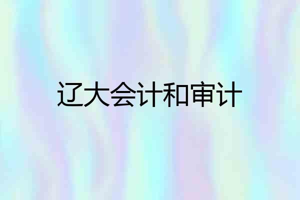 辽大会计和审计