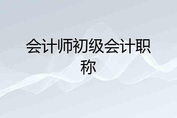 会计师初级会计职称