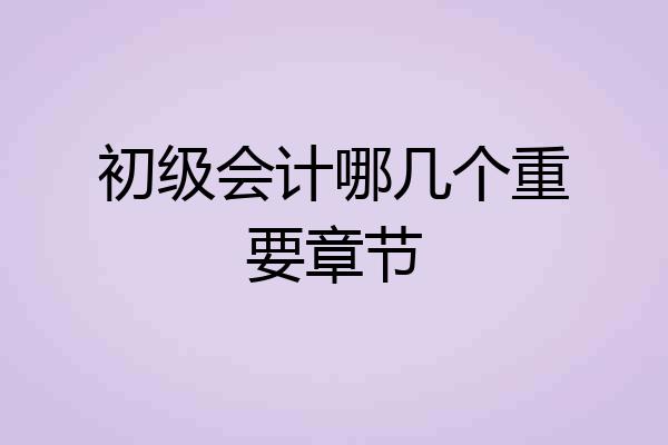 初级会计哪几个重要章节
