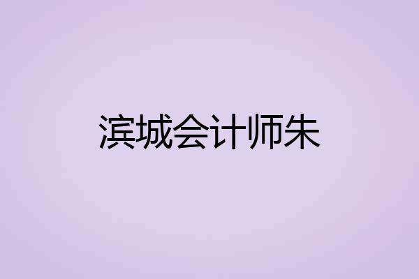 滨城会计师朱