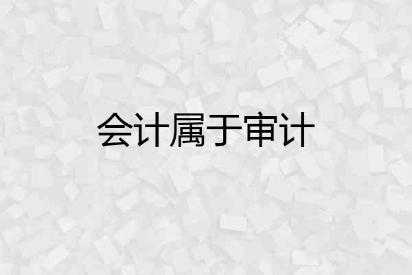 会计属于审计