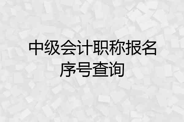 中级会计职称报名序号查询