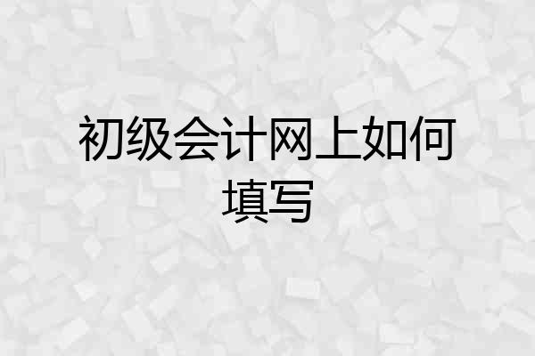 初级会计网上如何填写