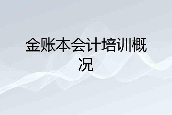 金账本会计培训概况