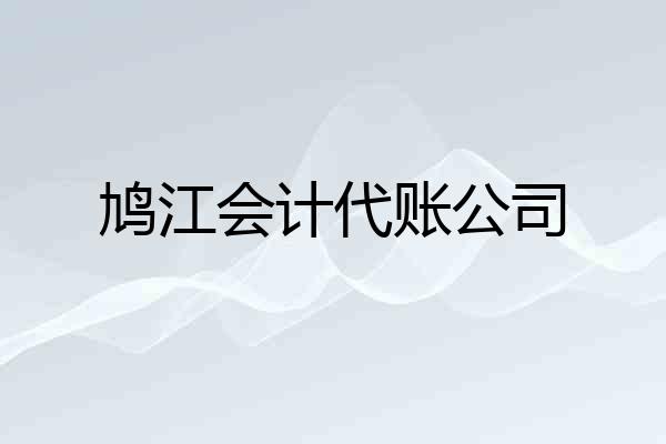 鸠江会计代账公司