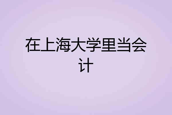 在上海大学里当会计