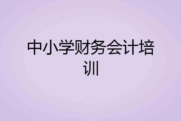 中小学财务会计培训