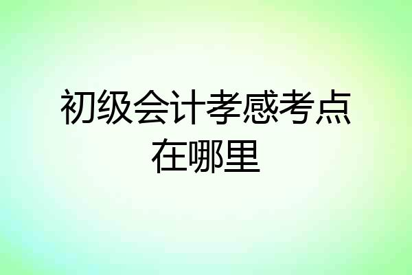 初级会计孝感考点在哪里