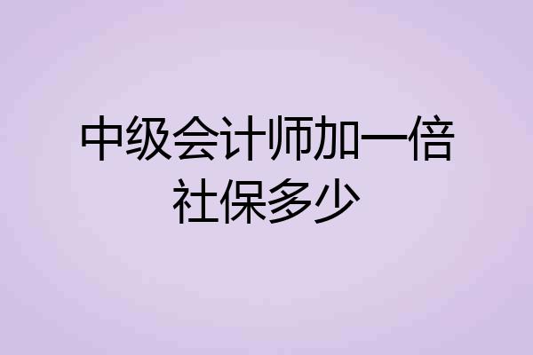 中级会计师加一倍社保多少