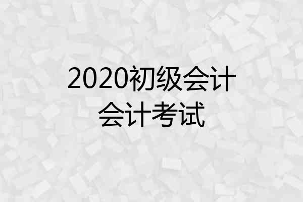 2020初级会计会计考试