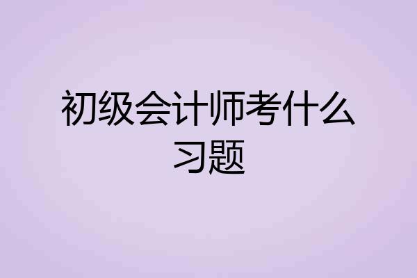 初级会计师考什么习题