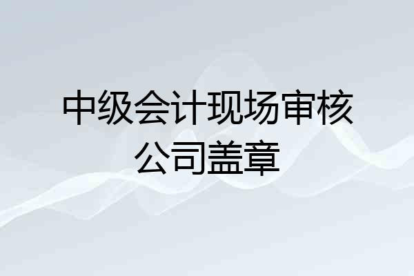 中级会计现场审核公司盖章