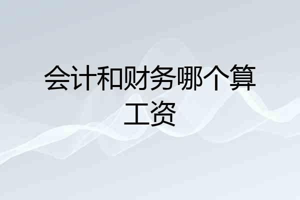 会计和财务哪个算工资