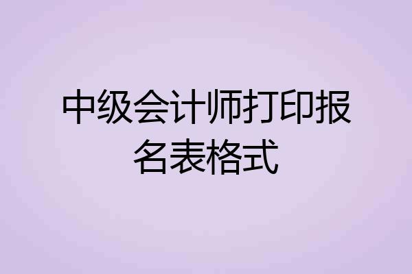 中级会计师打印报名表格式