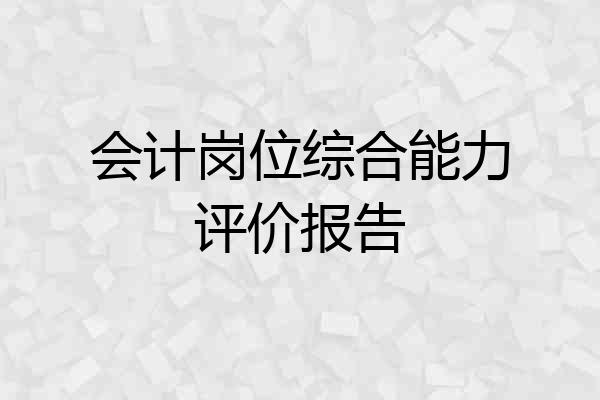 会计岗位综合能力评价报告