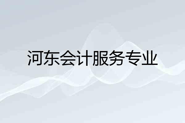 河东会计服务专业