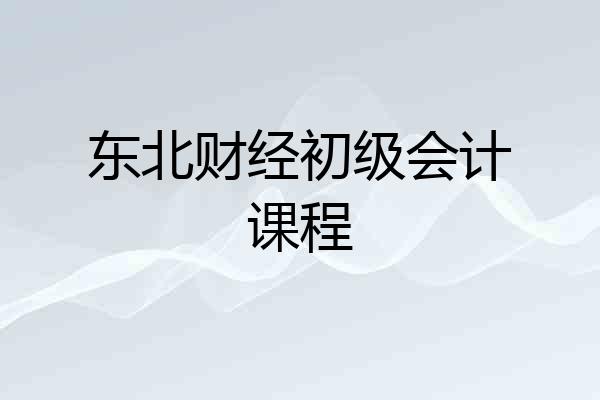 东北财经初级会计课程