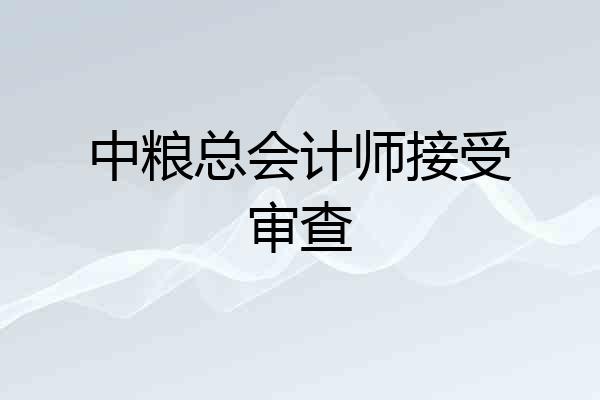 中粮总会计师接受审查