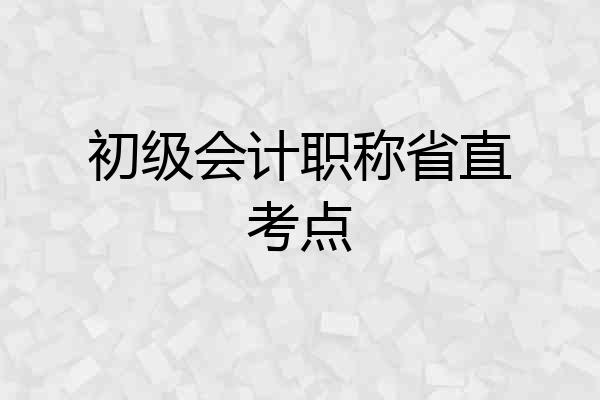 初级会计职称省直考点