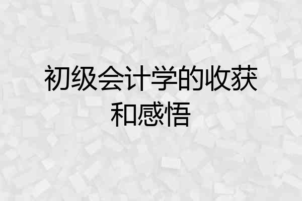 初级会计学的收获和感悟