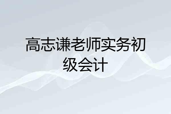 高志谦老师实务初级会计