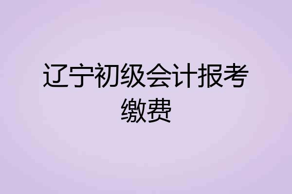 辽宁初级会计报考缴费