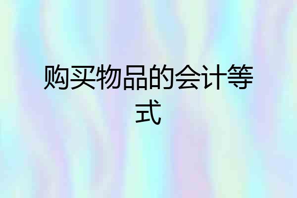 购买物品的会计等式