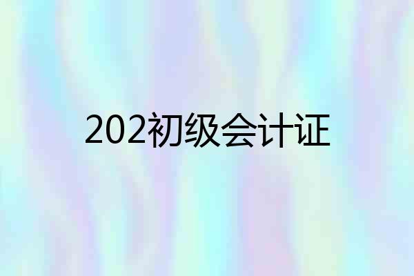 202初级会计证