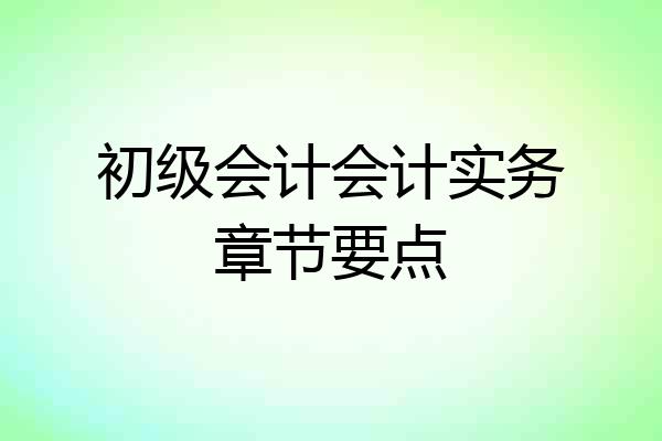 初级会计会计实务章节要点