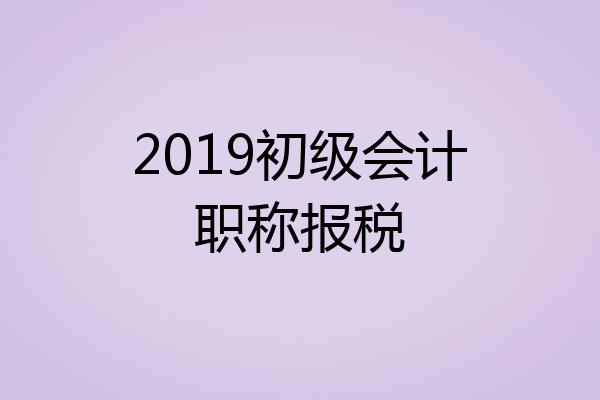 2019初级会计职称报税
