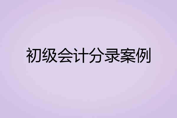 初级会计分录案例