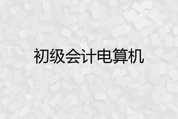 初级会计电算机
