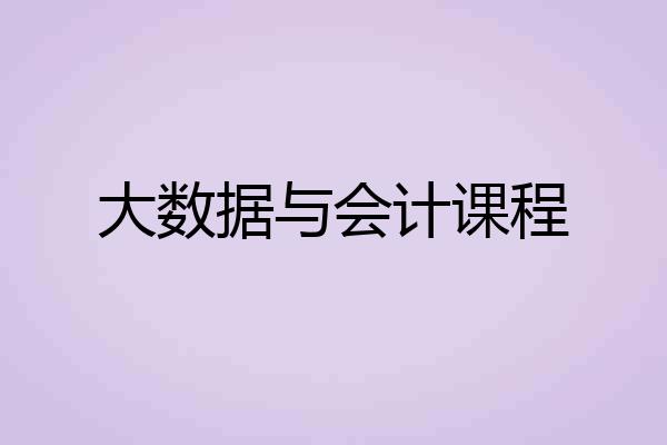 大数据与会计课程